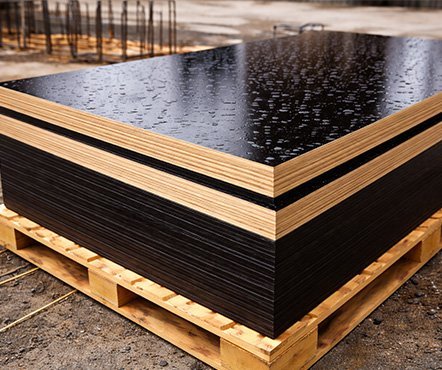 Plywood (Flexed Plywood)