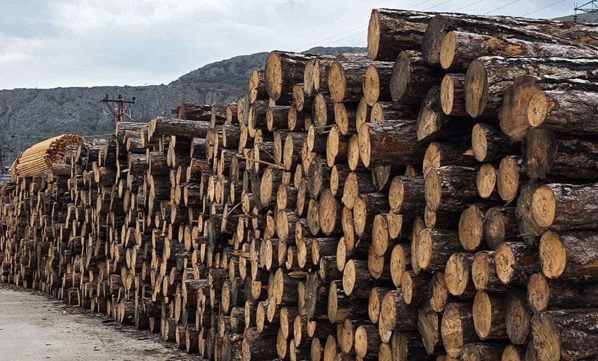 Strong Beginnings in Nature’s Purest Form